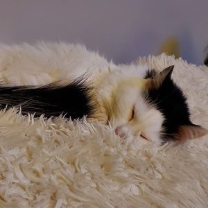 Meet your Posher, Jackie